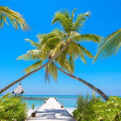 欧博手机版app下载安装截图